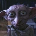 -DOBBY-