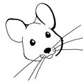 Rat8888