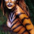 TairaTiger