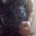 grubiyher