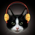 SI-FM