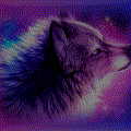 -RANDOM-