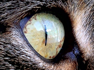 My Photos