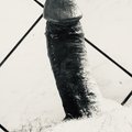 dirkdigler110