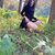 _Aleksa_