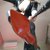 Mistress_Di