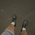 Agentvrot