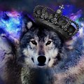 Volk-odinochka