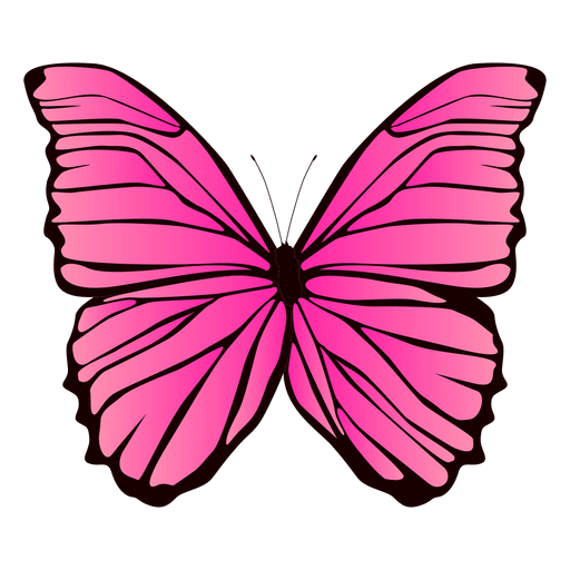 MAY-ZENNIN Let us fly image: 1