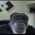 JonyShizLong21