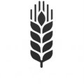 -Spikelet-