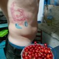 Sex386