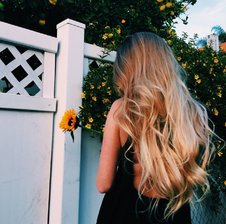 JxPetite