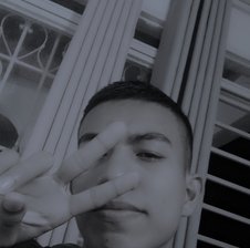 Bigcock-golden