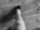 Legs 😉