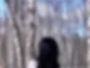 Альбом 12
