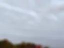 221