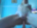 Dildo