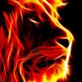 TuLeon7777