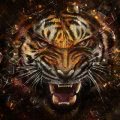 AWzPrettyCat