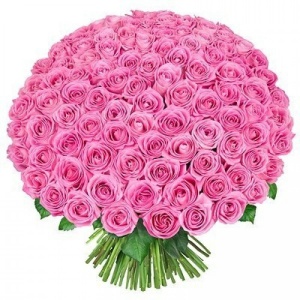101 roses))))))))))))