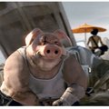 HOGBALLS