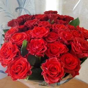 many flowers 