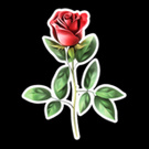 I am very pleased to go to my profile and find there a gift from you ... a rose. good mood for the whole day is provided to me