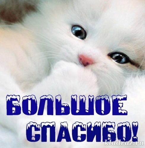 _kiska_ Hello!!! Привет!!! image: 2