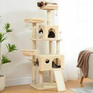 The house for my cats
