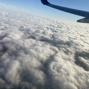 Trips