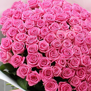 101 roses)