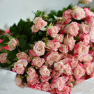 Chic bouquet of pink roses ...