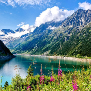 Visit Altai