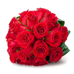BEAUTIFUL FLOWERS