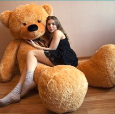 -teddy-bear-