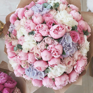 Lots of peonies