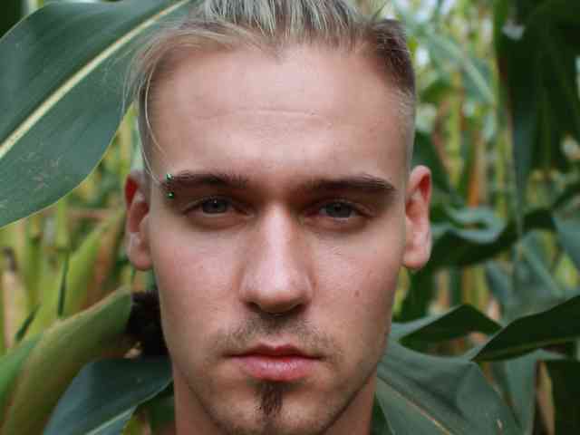 max-diamond-