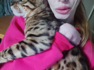 Мой кот