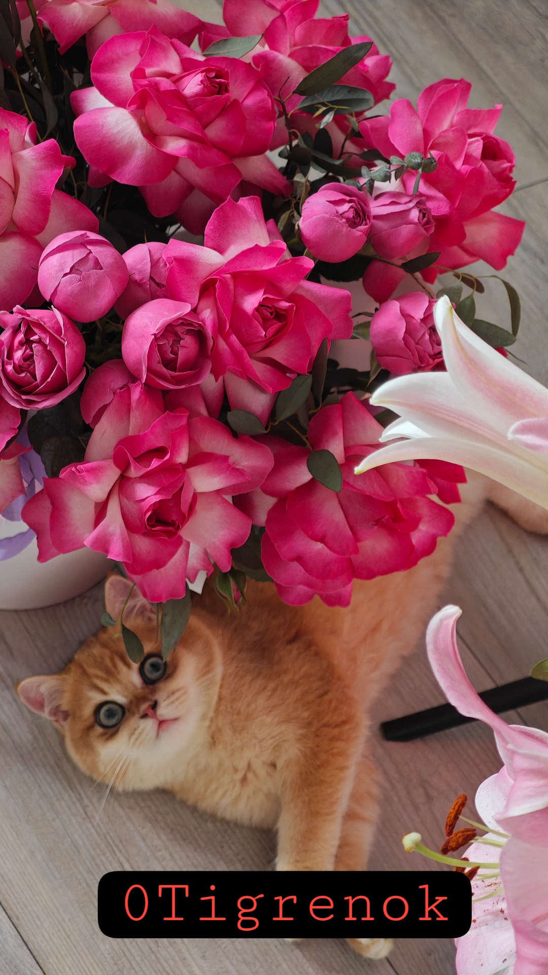 AmaReda Любимые цветы От вас☺ image: 3