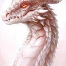 _Dragon