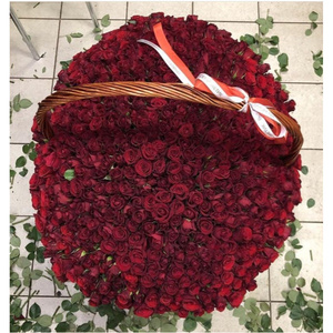 1001 rose
