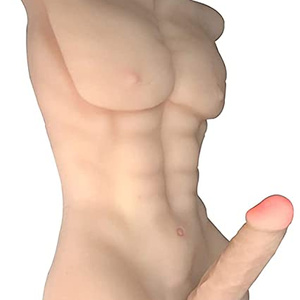 torso