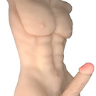torso