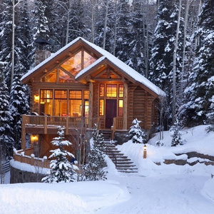House in forest