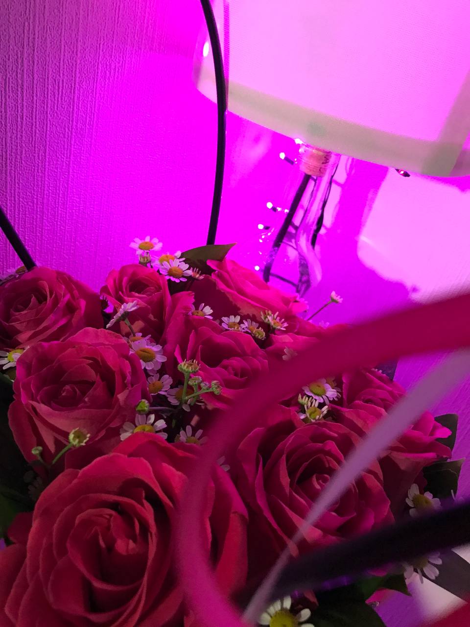 Vikulenok Your flowers image: 4
