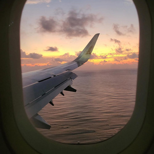 travel the world