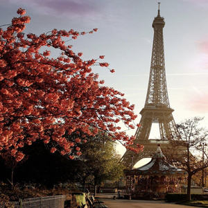 Eh....Paris, Paris....