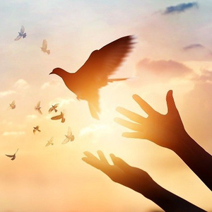 Freedom