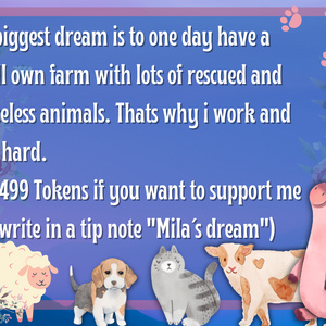 Spend for my own animal rescue station